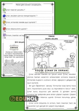 OKUMA ANLAMA ÇINAR'IN ORMANI, ŞİİR VE BOYAMA ÇALIŞMA KAĞIDI