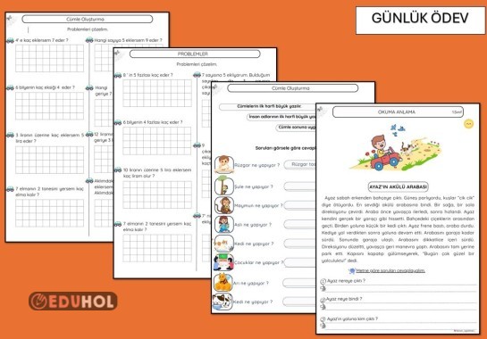 OKUMA ANLAMA, CÜMLE OLUŞTURMA, PROBLEMLER