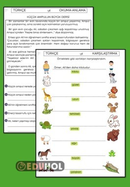 OKUMA-ANLAMA, KARŞILAŞTIRMA CÜMLELERİ ÇALIŞMA KAĞIDI