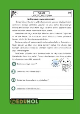 OKUMA ANLAMA ÇALIŞMA KAĞIDI