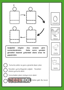 OLAYLARIN OLUŞ SIRASI ÇALIŞMA KAĞIDI
