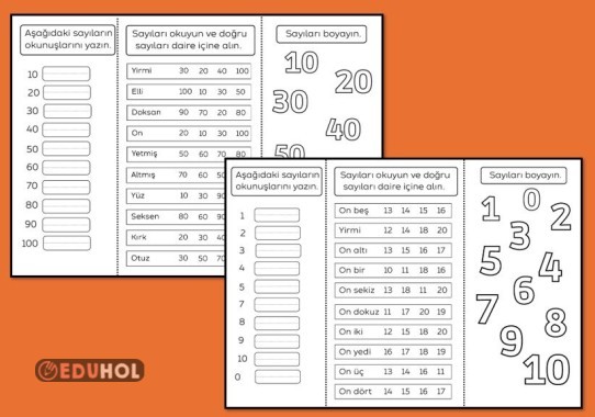 RAKAM, SAYILAR  ÇALIŞMA KAĞIDI