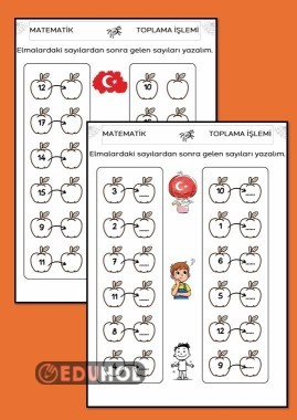 VERİLEN SAYIDAN SONRA GELEN SAYIYI YAZ ÇALIŞMA KAĞIDI