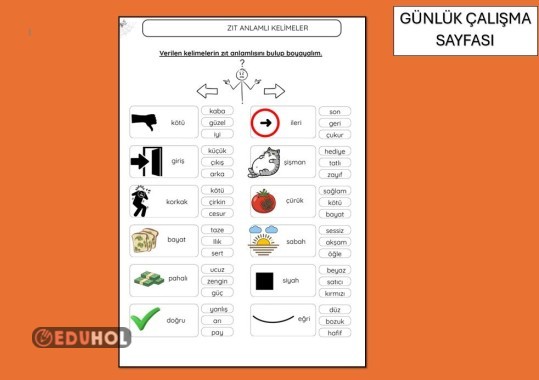 ZIT ANLAMLI KELİMELER ÇALIŞMA SAYFASI