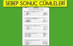 GÜNLÜK ÇALIŞMA SAYFASI