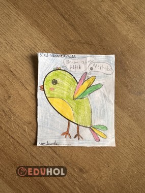 Yarım Kalbi Tamamla