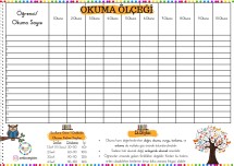 Süreli Okuma Ölçeği 30 Öğrenci (Tüm  Sınıflar)