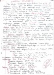 Deprem Dalgaları
