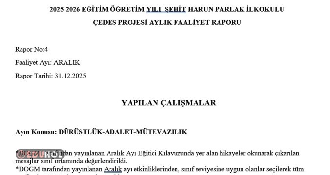 ÇEDES ARALIK AYI RAPOR