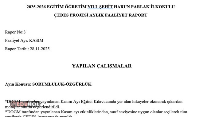 ÇEDES KASIM AYI RAPOR