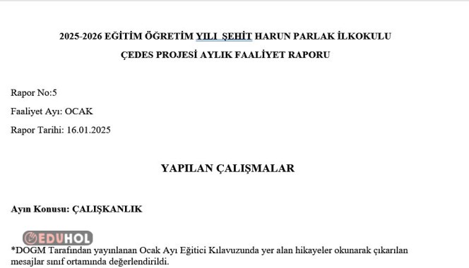 ÇEDES OCAK AYI RAPOR