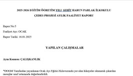 ÇEDES OCAK AYI RAPOR