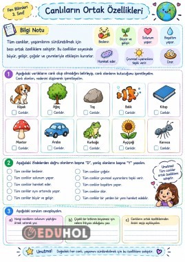 Canlıların Ortak Özellikleri Bilgi Notu Ve Etkinlik