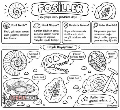 Fosiller bilgi notu ve boyama