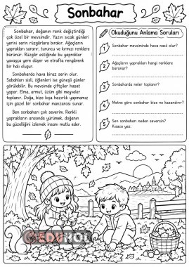 sonbahar okuduğunu anlama metni