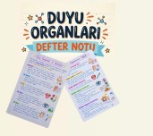 Duygu Organlarımız Görevleri ve Sağlığı Defter Notları