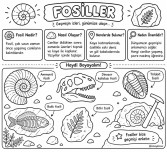 Fosiller bilgi notu ve boyama