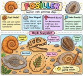 Fosiller