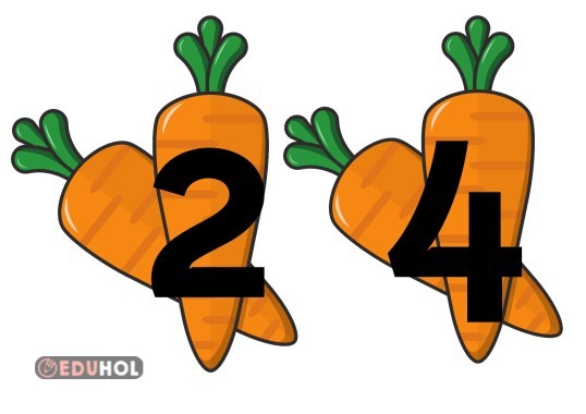 İkişer Ritmik Sayma Pano