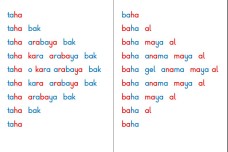 BASARA 1.KİTAP HA HECESİ HIZLI OKUMA PDF