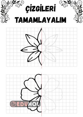 çiçek simetri