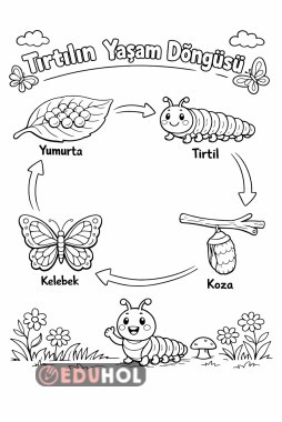 tırtılın yaşam döngüsü