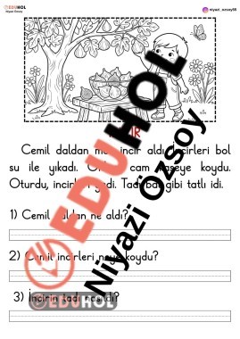 C Sesi İncir Okuma Anlama Metni