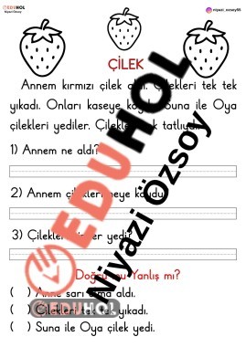 ÇİLEK OKUMA ANLAMA METNİ