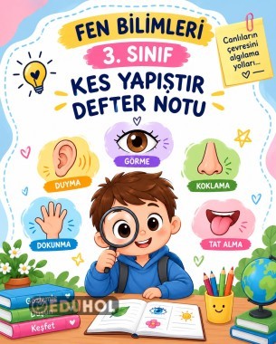 DUYU ORGANLARI KES YAPIŞTIR DEFTER NOTU