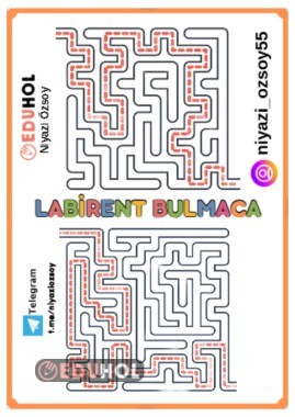 LABİRENT BULMACA -8 (2 ADET)