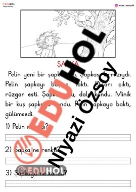 P SESİ ŞAPKA OKUMA ANLAMA METNİ