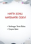13 ŞUBAT HAFTA SONU MATEMATİK ÖDEVİ
