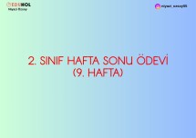 2. SINIF 9. HAFTA SONU ÖDEVİ