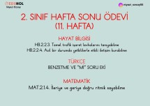 2. SINIF HAFTA SONU ÖDEVİ (11.HAFTA)