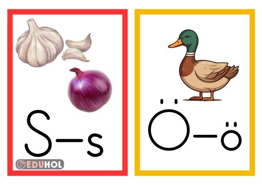 S VE Ö SESİ PANO GÖRSELİ