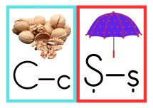 C VE Ş SESLERİ PANO GÖRSELİ