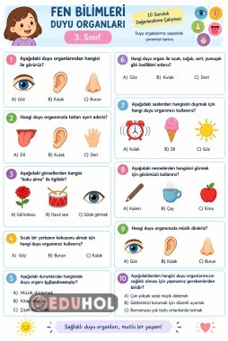 duyu organları