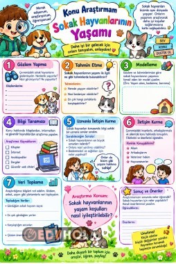 kaıncaların yaşamını araştırıyorum