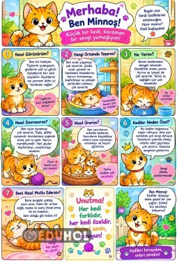 KEDİM NE İSTER ÇİZGİ ROMAN