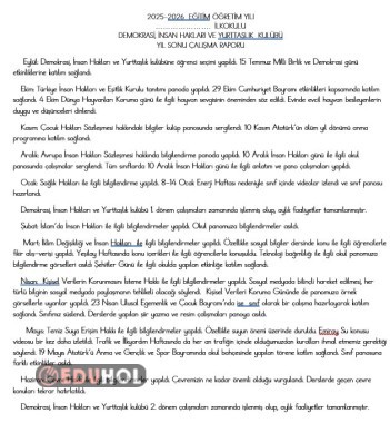 Demokrasi kulübü yıl sonu raporu
