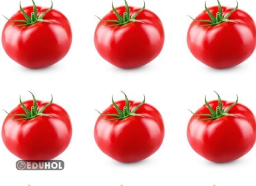 Sayıları tahmin et sonra say