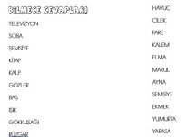 Bilmece Cevapları