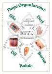 Duyu Organlarımız Etkinliği