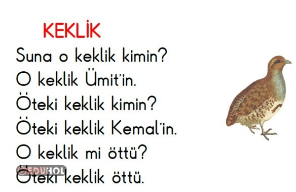 Ö SESİ METİN OKUMA -KEKLİK-