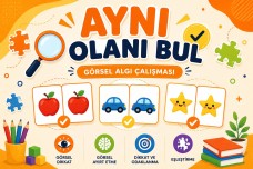 Özel Eğitim- Görsel Algı 2