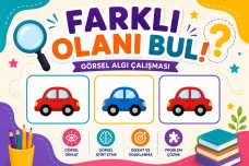 Özel Eğitim- Görsel Algı